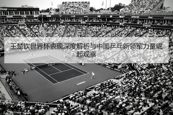 王楚钦世界杯表现深度解析与中国乒乓新领军力量崛起观察